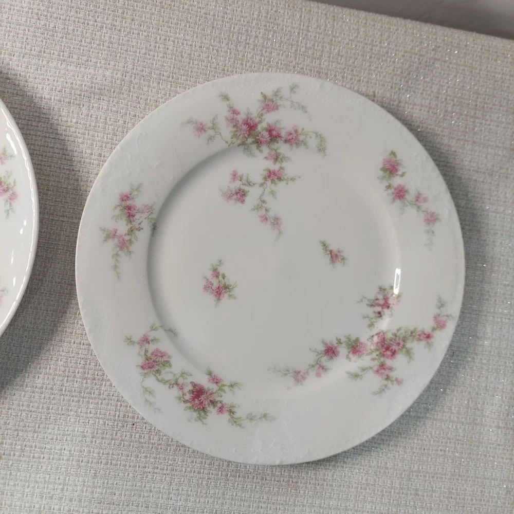 ANTIQUE Theodore Haviland Limoges France Patent Applied 2 Dinner‎ Plates Floral
